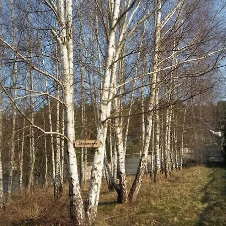 Pensjonacik W Zaciszu Nad Jeziorem Z Sauna *