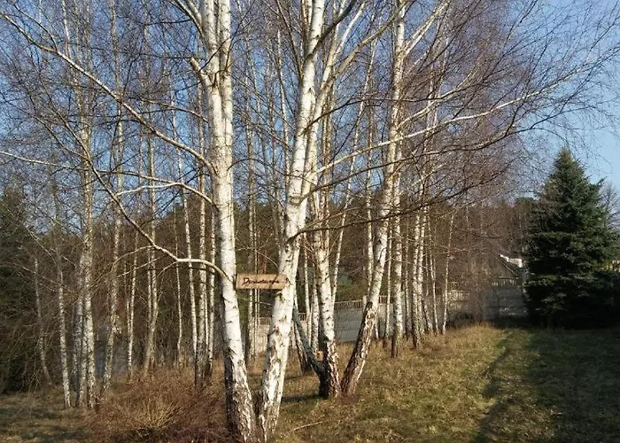 Pensjonacik W Zaciszu Nad Jeziorem Z Sauna *